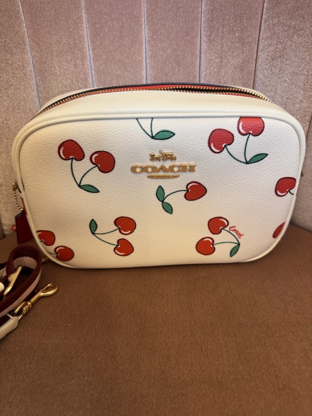 Coach Jaime Cherry Print Crossbody Camera Bag